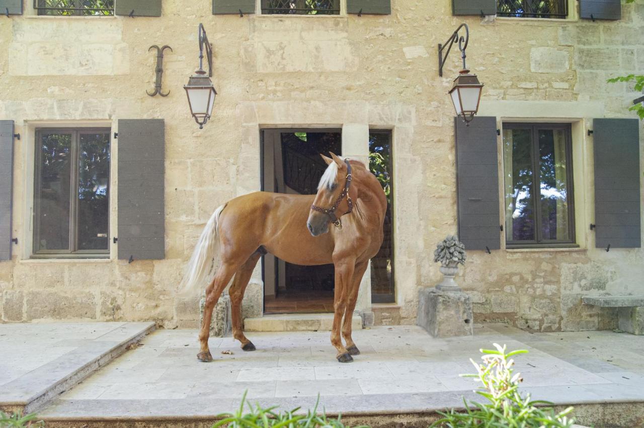 Domaine Cap Rubis Bed & Breakfast Paradou Exterior photo
